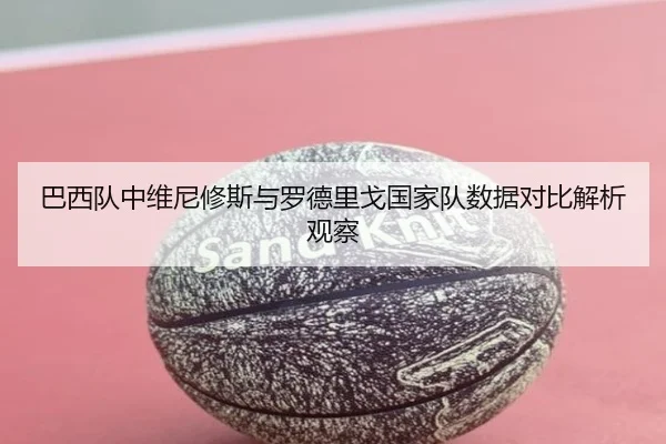 巴西队中维尼修斯与罗德里戈国家队数据对比解析观察